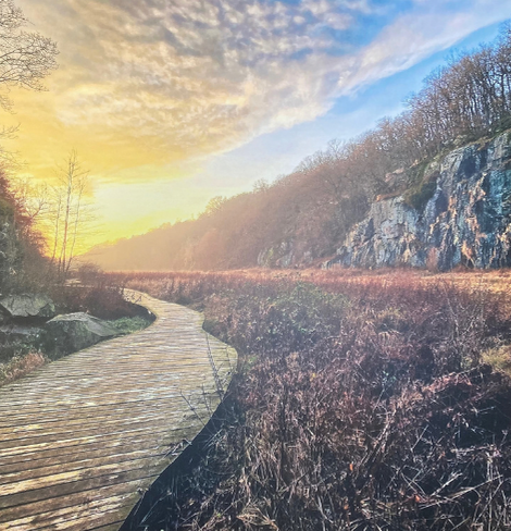 Landschaft
